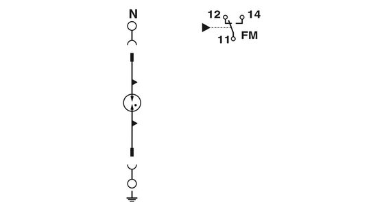 5V AC에서 250V AC 2817974 F-MS 12/FM 타입 2 급류 보호기 2극과 성능